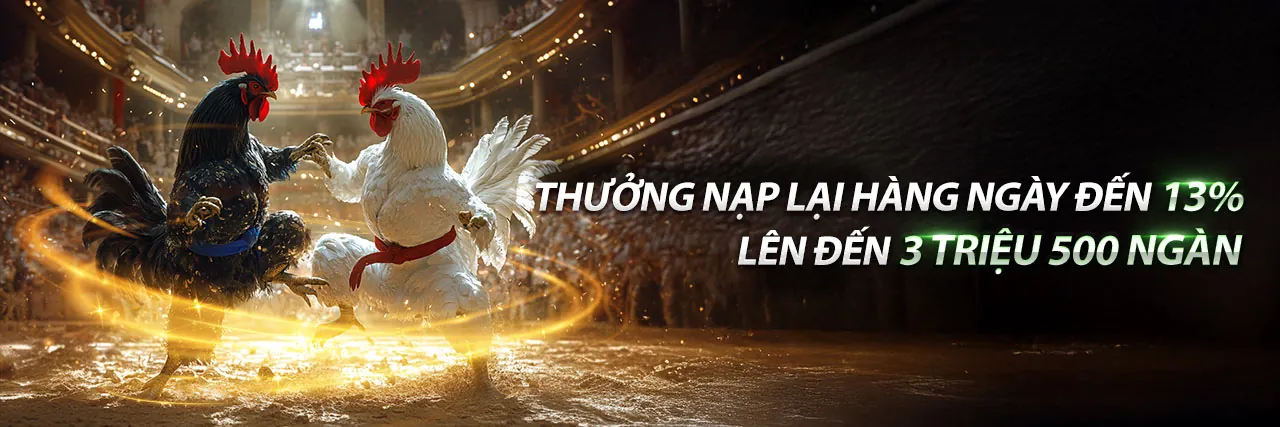 Đá Gà Trực Tuyến SBOBET Live Casino