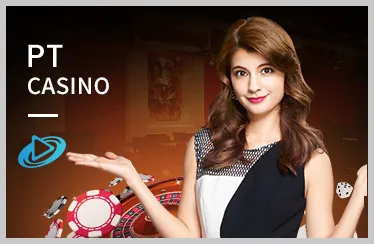 Dragon Tiger trực tiếp tại sbotop live casino