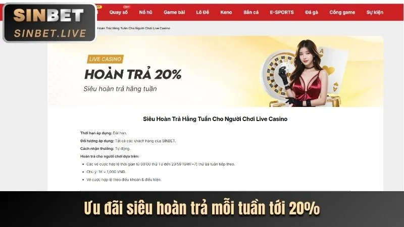 Tổng quan giao diện SBOBET Live Casino